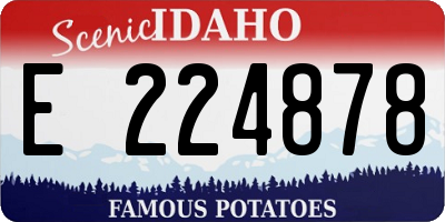 ID license plate E224878