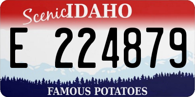 ID license plate E224879
