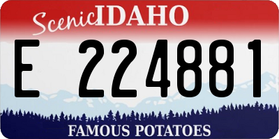 ID license plate E224881