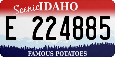 ID license plate E224885