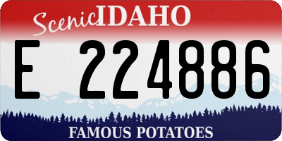 ID license plate E224886