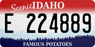 ID license plate E224889