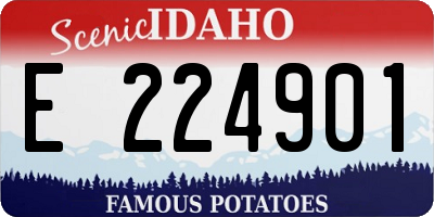 ID license plate E224901