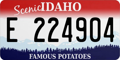 ID license plate E224904