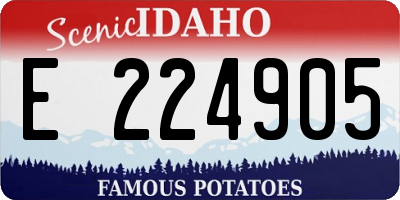ID license plate E224905