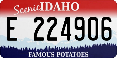 ID license plate E224906