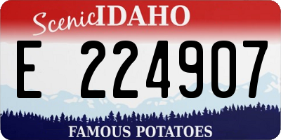 ID license plate E224907