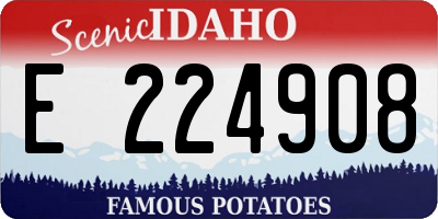 ID license plate E224908