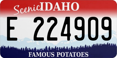 ID license plate E224909
