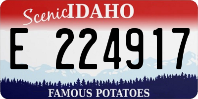 ID license plate E224917
