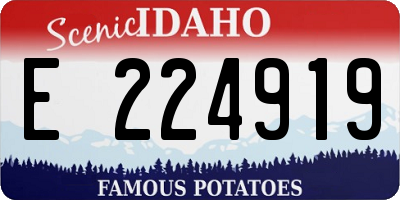 ID license plate E224919