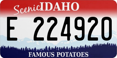 ID license plate E224920