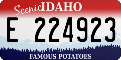 ID license plate E224923