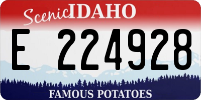 ID license plate E224928
