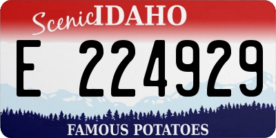ID license plate E224929