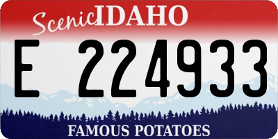 ID license plate E224933