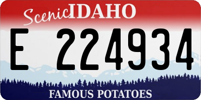 ID license plate E224934