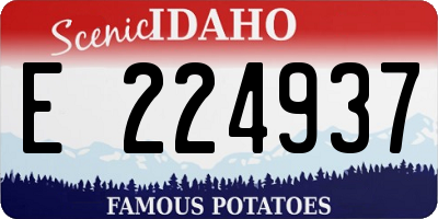 ID license plate E224937