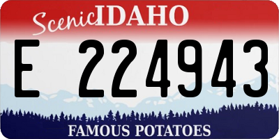 ID license plate E224943