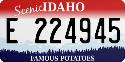 ID license plate E224945