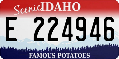 ID license plate E224946