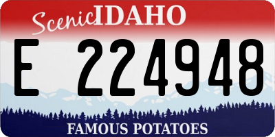 ID license plate E224948