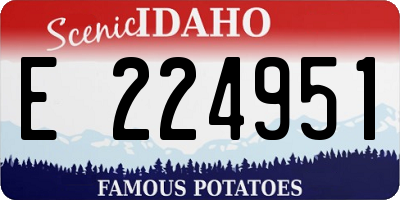 ID license plate E224951