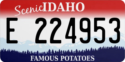 ID license plate E224953