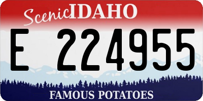ID license plate E224955