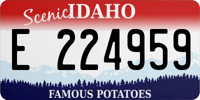 ID license plate E224959