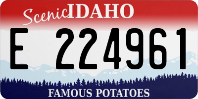 ID license plate E224961