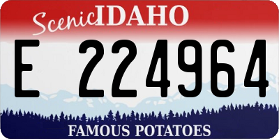 ID license plate E224964