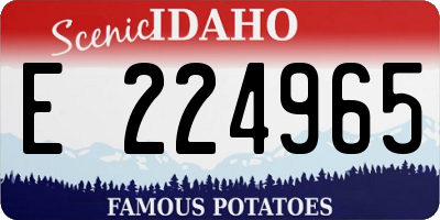 ID license plate E224965