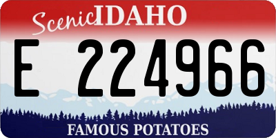 ID license plate E224966