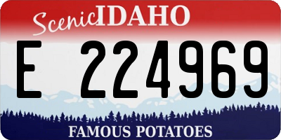 ID license plate E224969