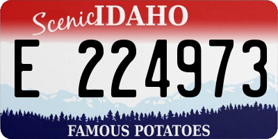 ID license plate E224973