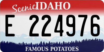 ID license plate E224976