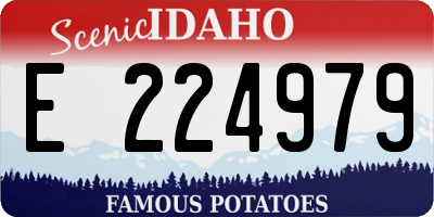 ID license plate E224979