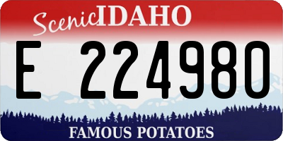 ID license plate E224980
