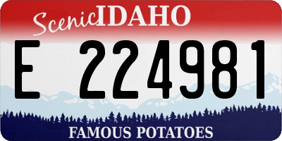 ID license plate E224981
