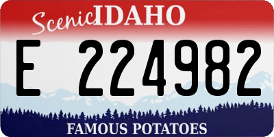 ID license plate E224982
