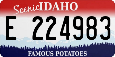 ID license plate E224983