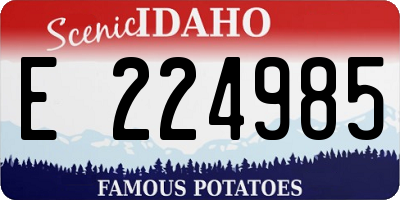 ID license plate E224985