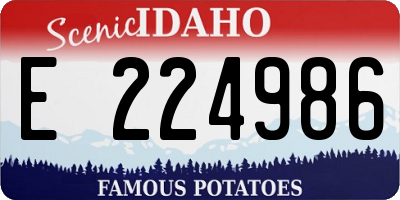 ID license plate E224986