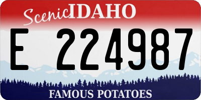ID license plate E224987