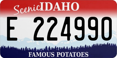 ID license plate E224990