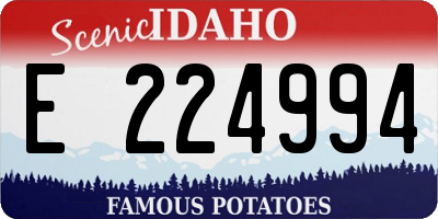 ID license plate E224994