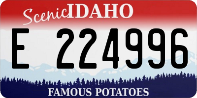 ID license plate E224996