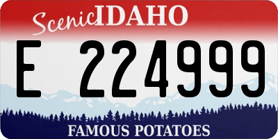 ID license plate E224999