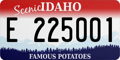 ID license plate E225001